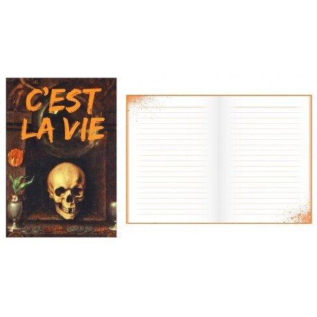 Notes a6 - masterpieces - c'est la vie m