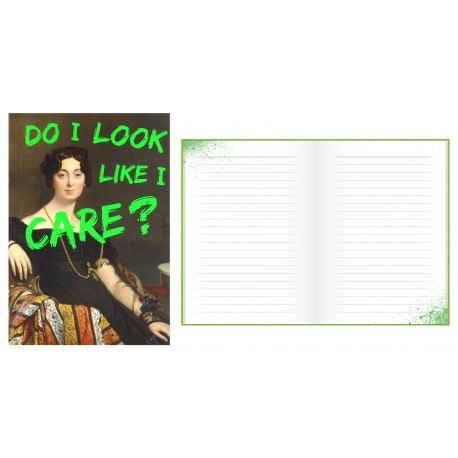 Notes a6 - masterpieces - do i look like i care ?