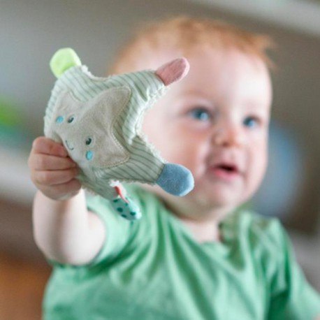 Szmatka sensoryczna, szeleścik, rozgwiazda z