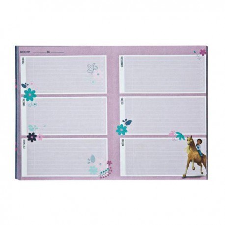 Plan lekcji, a5, spirit mustang