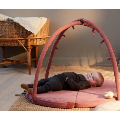 Filibabba mata edukacyjna loui vintage rose