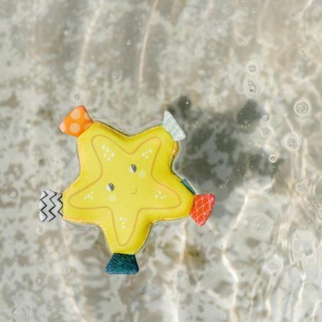 Miękka gąbka, rozgwiazda, z kolekcji: chlap i się baw