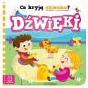 Aksjomat Co kryją okienka? Dźwięki KS0777