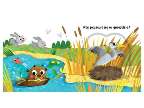 Aksjomat Co kryją okienka? W lesie KS0779 Książka Książeczka Aksjomat Co kryją okienka? W lesie KS0779 Książka Książeczka