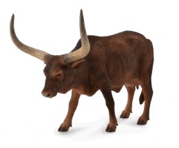 COLLECTA KROWA ANKOLE-WATUSI