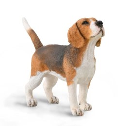 COLLECTA PIES BEAGLE