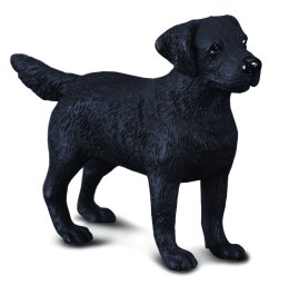 COLLECTA PIES LABRADOR