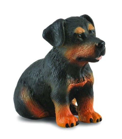 COLLECTA PIES RASY ROTTWEILER SZCZENIAK