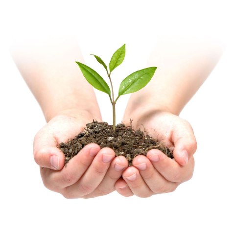 Agrowłóknina ogrodowa 1,6 m x 50 m 90 g/m2 + 100 szpilek  - zielona