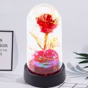 Wieczna Róża Kryształowa w Kopule z Oświetleniem LED z Serduszkiem 14x8cm
