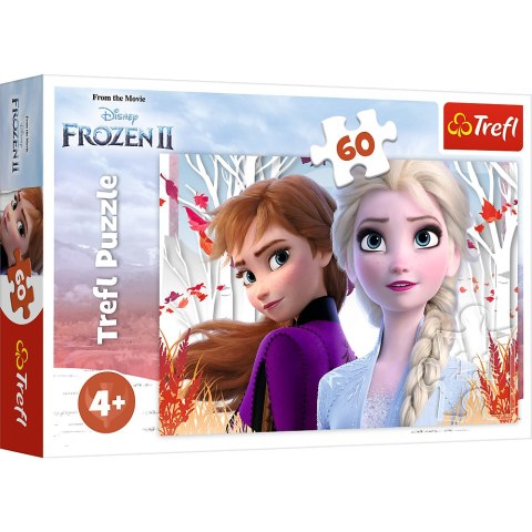 Puzzle - "60" - Zaczarowany świat Anny i Elsy Trefl 17333