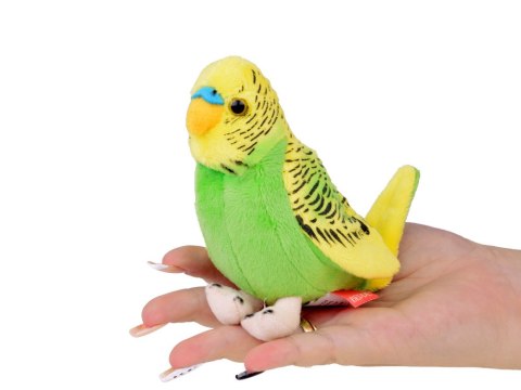 Maskotka pluszowa Papuga falista zielono-żółta papużka ptaszek 13cm 13728