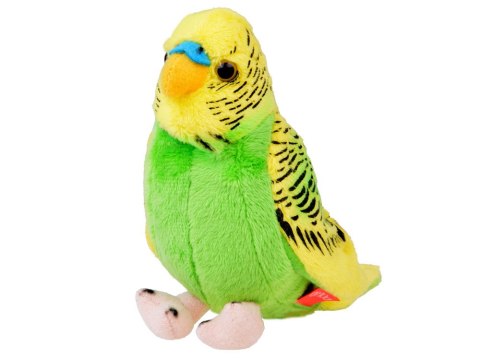 Maskotka pluszowa Papuga falista zielono-żółta papużka ptaszek 13cm 13728