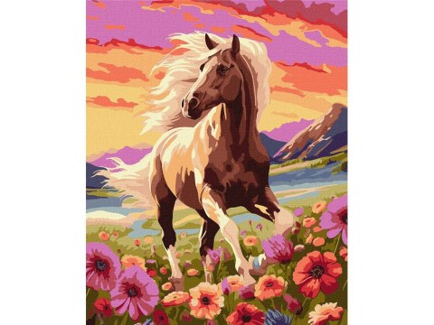 Zestaw do malowania po numerach Pełen gracji koń KHO6584 40x50