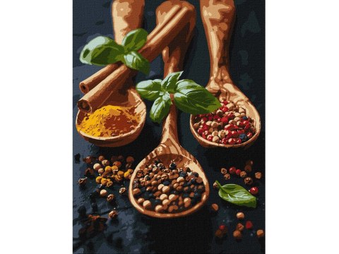 Zestaw do malowania po numerach wykwintne przyprawy KHO5689 30 x 40 AP0011